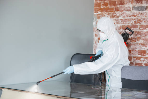 Mold Remediation for Vacation Homes in Elmont, NY