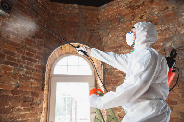 Best Comprehensive Air Testing for Mold Contaminants  in Elmont, NY